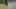 A woman sketching at a table